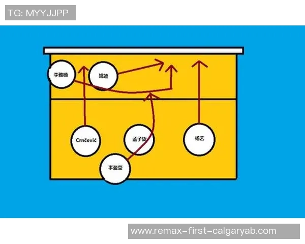 杭州排球队防反体系解析与战术创新探讨