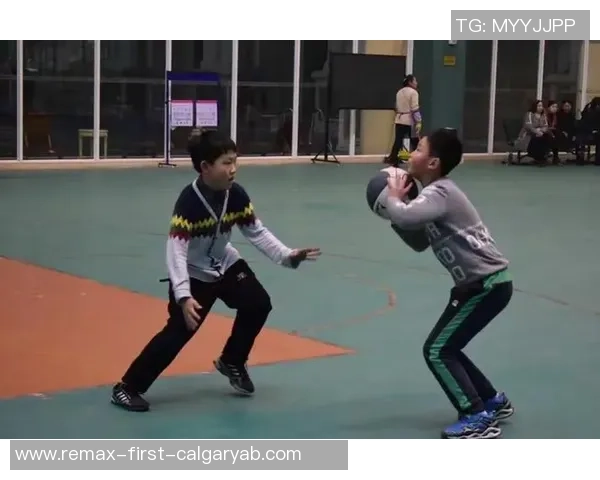 篮球传奇揭秘：深入探讨北京篮球队的实力与魅力之源