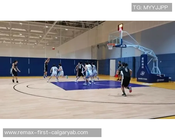 重庆篮球队最新比赛经验分享TOP10助力球队提升竞技水平 重庆篮球队最新比赛经验分享TOP10助力球队提升竞技水平