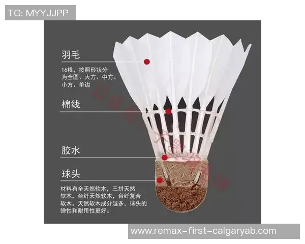 从零开始：羽毛球团队协作完全攻略