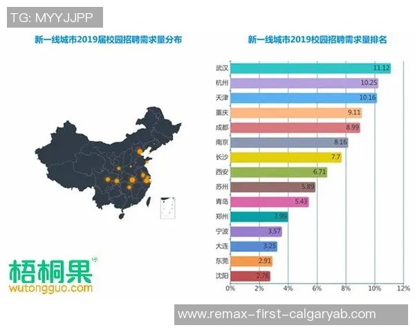 数据分析：武汉攀岩队的实力表现