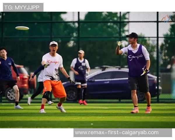 刘磊独家：分享飞盘心得