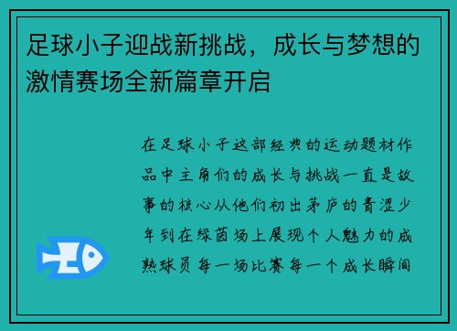 足球小子迎战新挑战，成长与梦想的激情赛场全新篇章开启