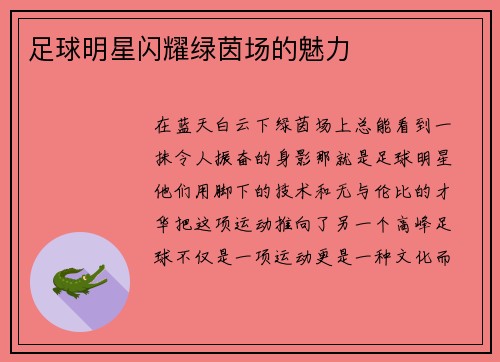 足球明星闪耀绿茵场的魅力