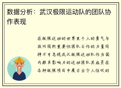 数据分析：武汉极限运动队的团队协作表现
