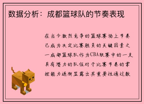 数据分析：成都篮球队的节奏表现
